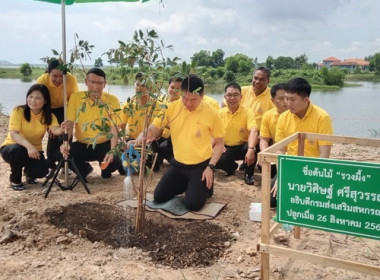 โครงการปลูกป่า ... พารามิเตอร์รูปภาพ 5